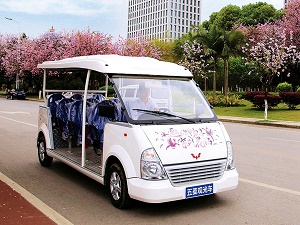 威威觀光車 (469).jpg